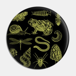 Vintage Biology Goblincore Nature Aesthetic Collection of Frogs, Snails, Moths, Mushrooms Pin