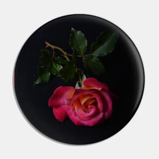 Pink Rose Pin