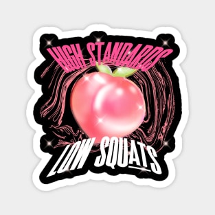 HIGH STANDARDS LOW SQUATS Magnet