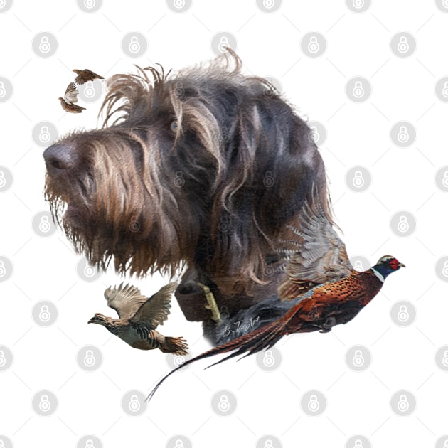 German Wirehaired Pointer by German Wirehaired Pointer 