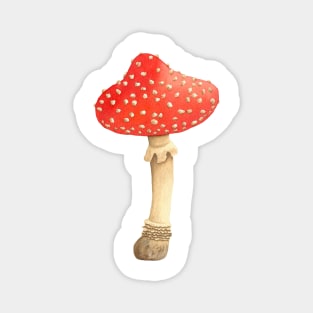 Mushroom Master Fly Agaric Magnet