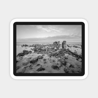 Seaweed covered rocks a the sandy beach Magnet