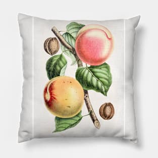 Hand drawn apricot Pillow