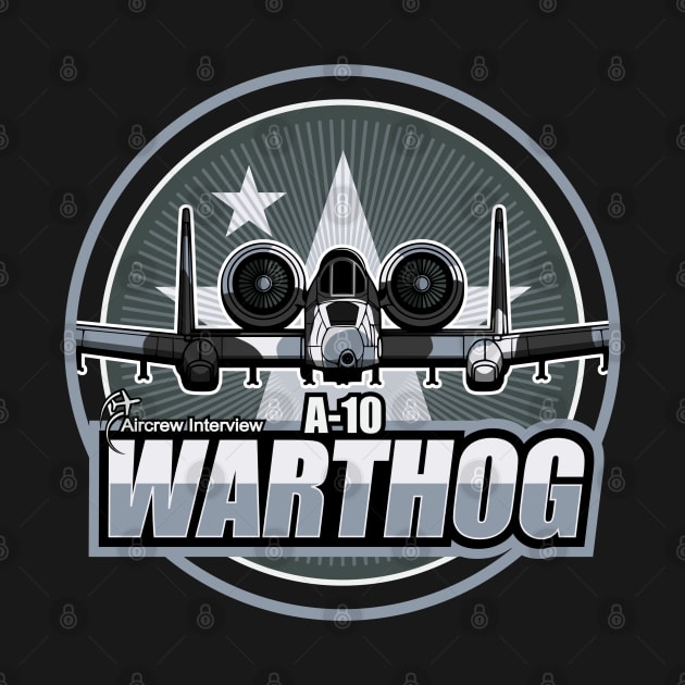 A-10 Warthog by Aircrew Interview