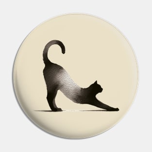 cat streching Pin