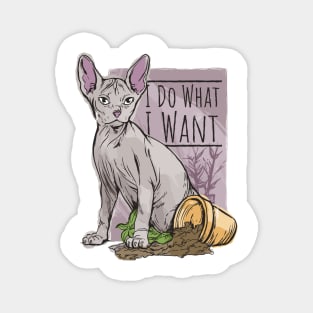 I do What I Want Funny Sphynx Cat Magnet