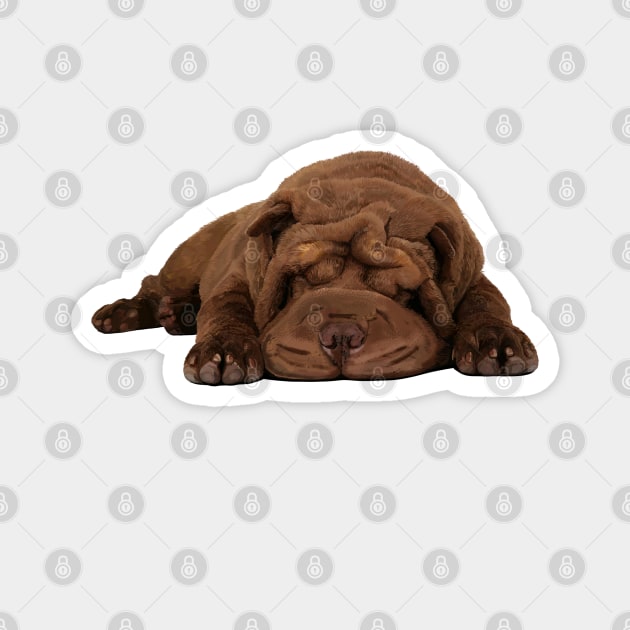 Shar-Pei Magnet by sibosssr