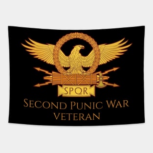 Ancient Roman History Second Punic War Military Veteran SPQR Tapestry