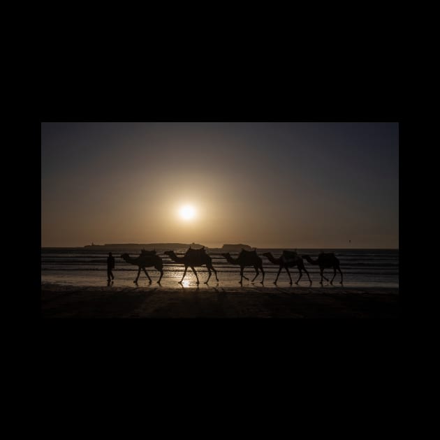 Camels at Sunset by Memories4you