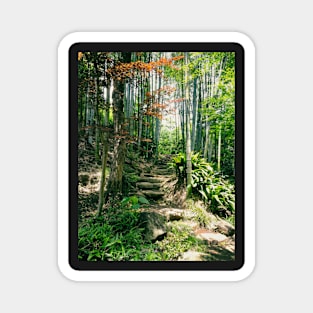 Steps in a Japanese Bamboo Forest Magnet