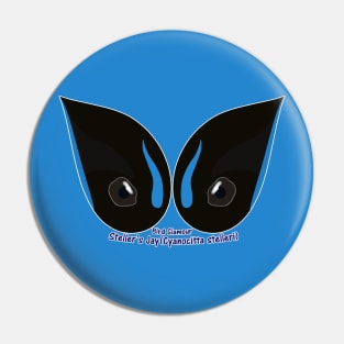 Steller's Jay Eyes Pin