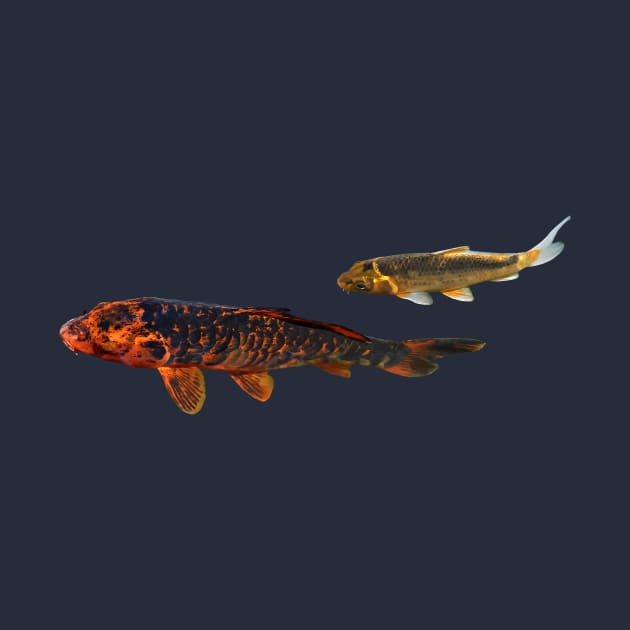 Orange Koi and Gold Koi by SusanSavad