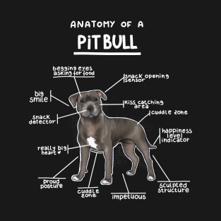 Anatomy of a PitBull T-Shirt