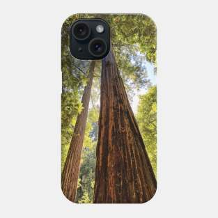 The Redwoods Phone Case