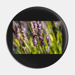 Bumblebee on lavender Pin