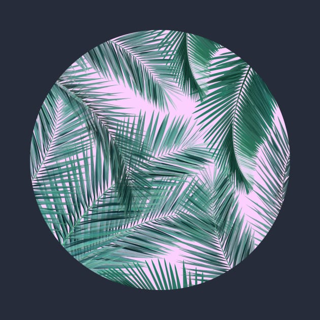 Palm Leaves by Vin Zzep
