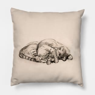 Two friendly cats Pillow