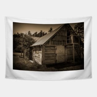 Storage Shed In Sepia Tapestry