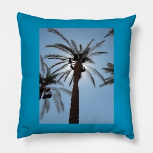 Palm Trees Pillow