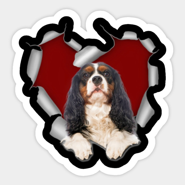 Cavalier King Charles Spaniel Pegatinas