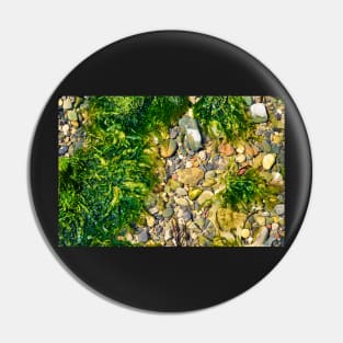 Rock Pool With Beach Pebbles & Seaweed - Abstract Coastal - #2 Pin