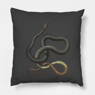 snake Pillow