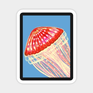 Jellyfish Magnet