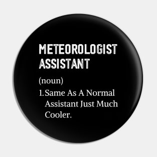 Meteorology Job Title Profession Worker Pin