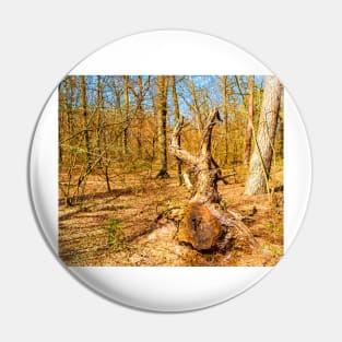 Landscape with uprooted tree Pin