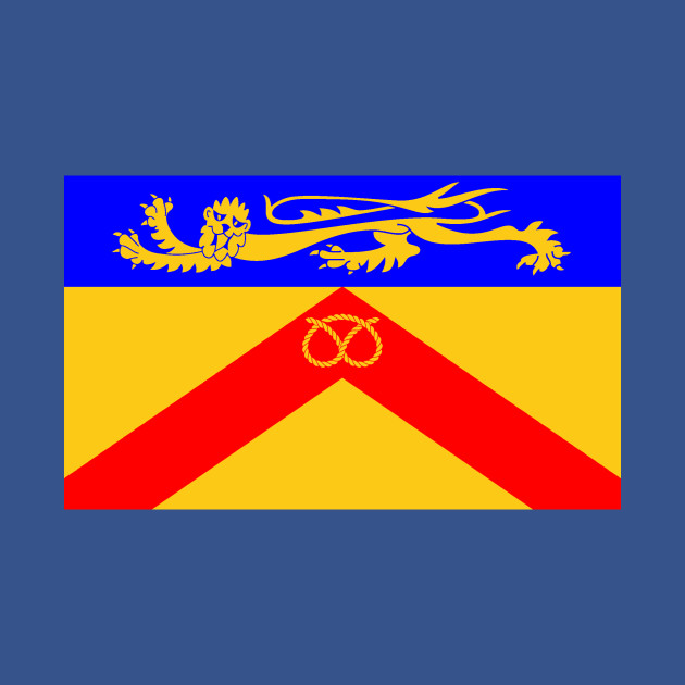 Disover Flag of Staffordshire Council (United Kingdom) - Flag - T-Shirt