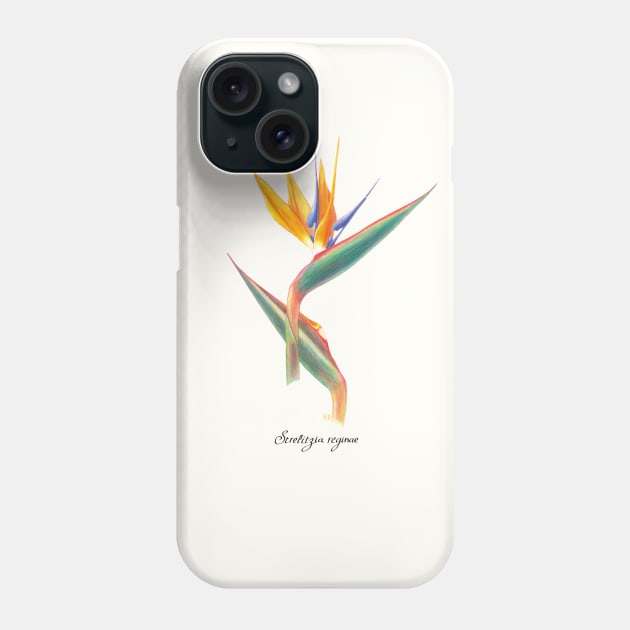 Colorful Bird of Paradise Phone Case by VeraAlmeida