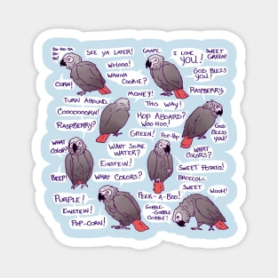 African Grey Parrot Einstein Funny Quotes Magnet