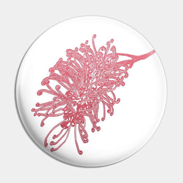 Australian Native Floral Illustration - A Beautiful Pink Grevillea Flower Pin by annaleebeer