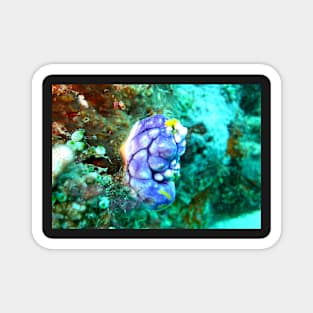 Underwater Life Magnet