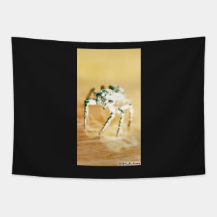 Yellow Jumping Spider Tapestry