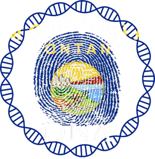 Montana Its In My DNA - Montanan Flag - Gift for Montanan From Montana Magnet