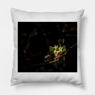 The bud, an artistically processed photo, looks really good Pillow