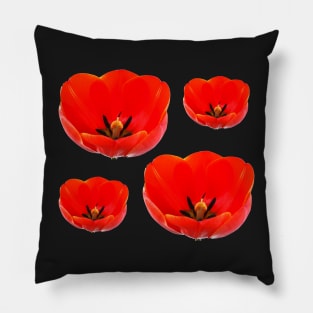 Tulips Pillow