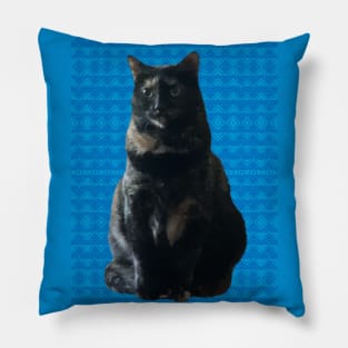 Sweet Kitty on Blue Pillow