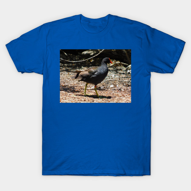 Moorhen T-Shirt