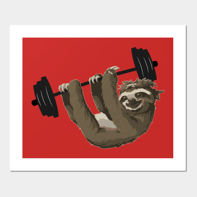 Weightlifting Sloth