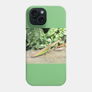 Praying Mantis No.2 Phone Case