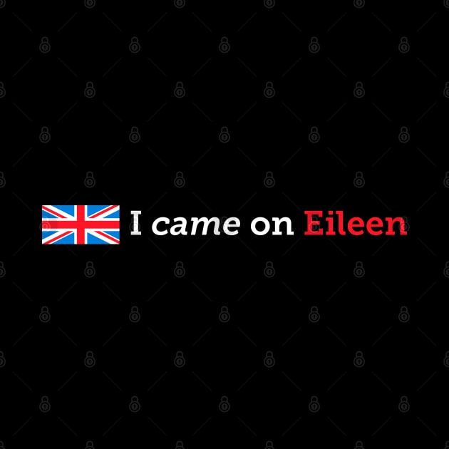 I Came On Eileen Funny 80s Music T-Design by Vector Deluxe