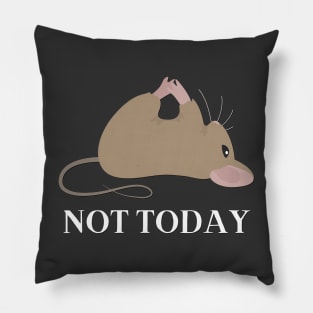 Lazy Mouse Nope not Today funny sarcastic messages sayings and quotes Pillow