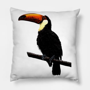 Toco toucan Pillow