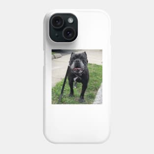 Stella Bulldog Phone Case