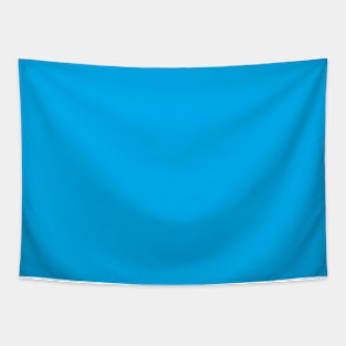 Pretty Simple Solid Turquoise Tapestry