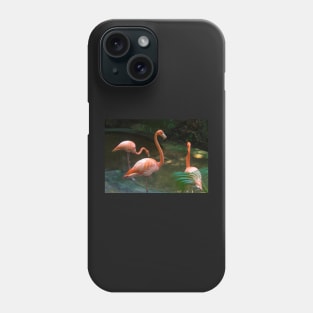 Flamingo Phone Case