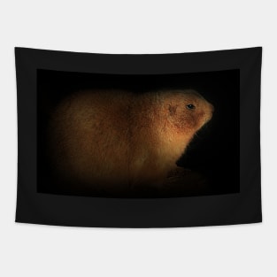 Mr Prairie Dog Tapestry