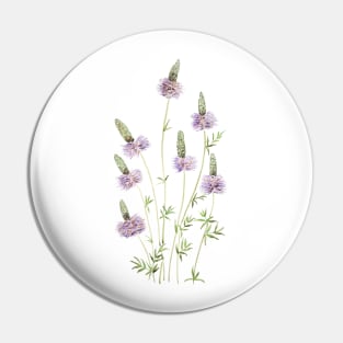 purple prairie clover watercolor Pin